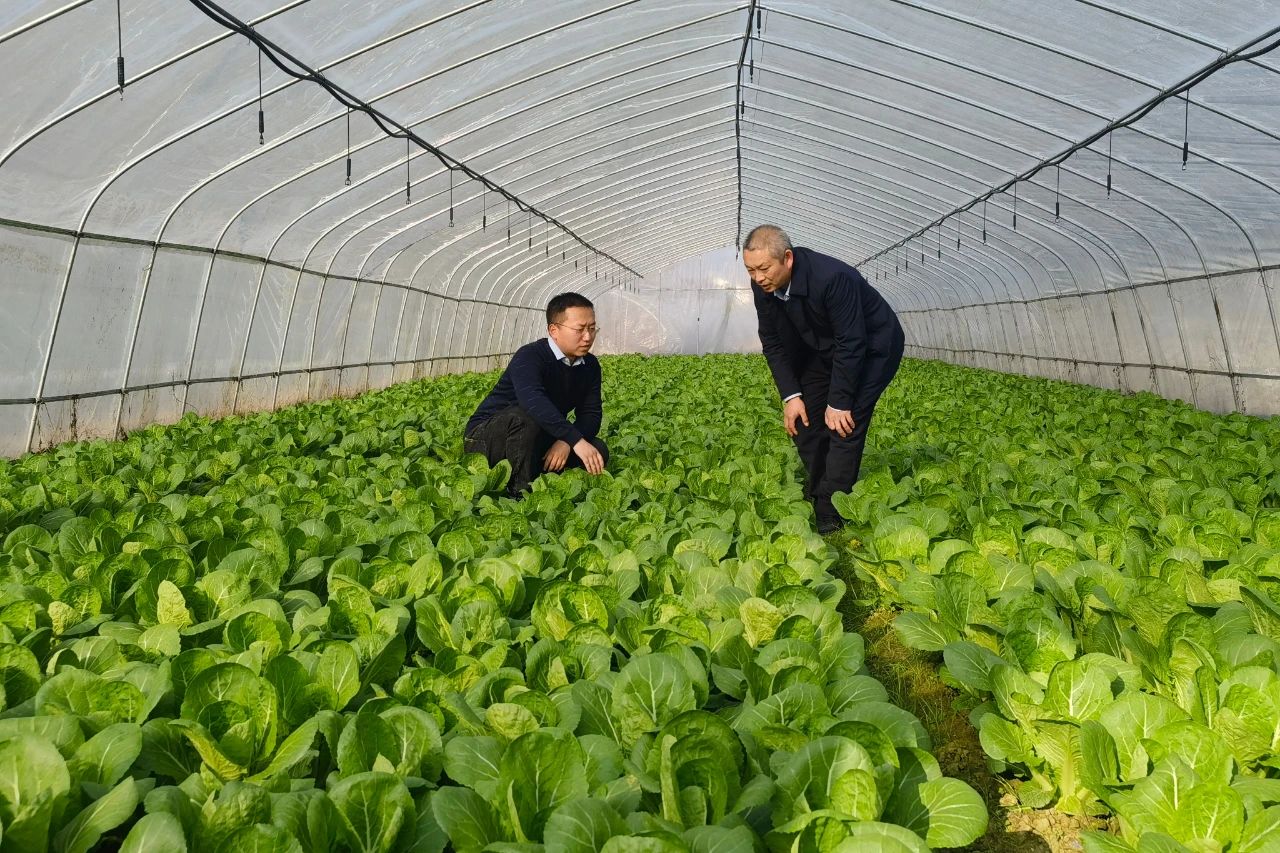 1612961259127095.jpeg 4.jpg