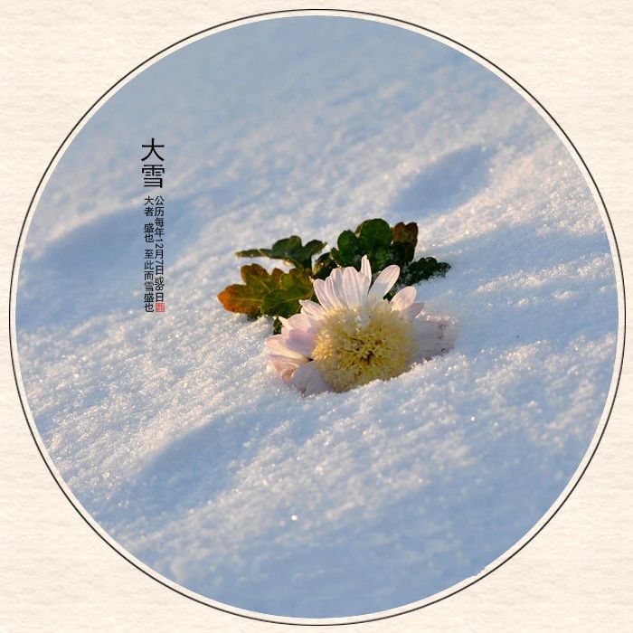 1639054411689813.jpeg ΢ÐÅͼƬ_20211209204432.jpg