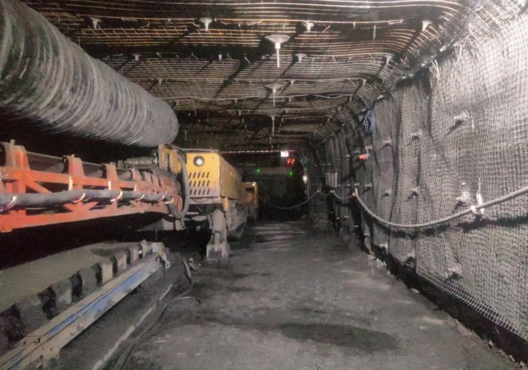 1702628497777013.jpeg 1.jpg