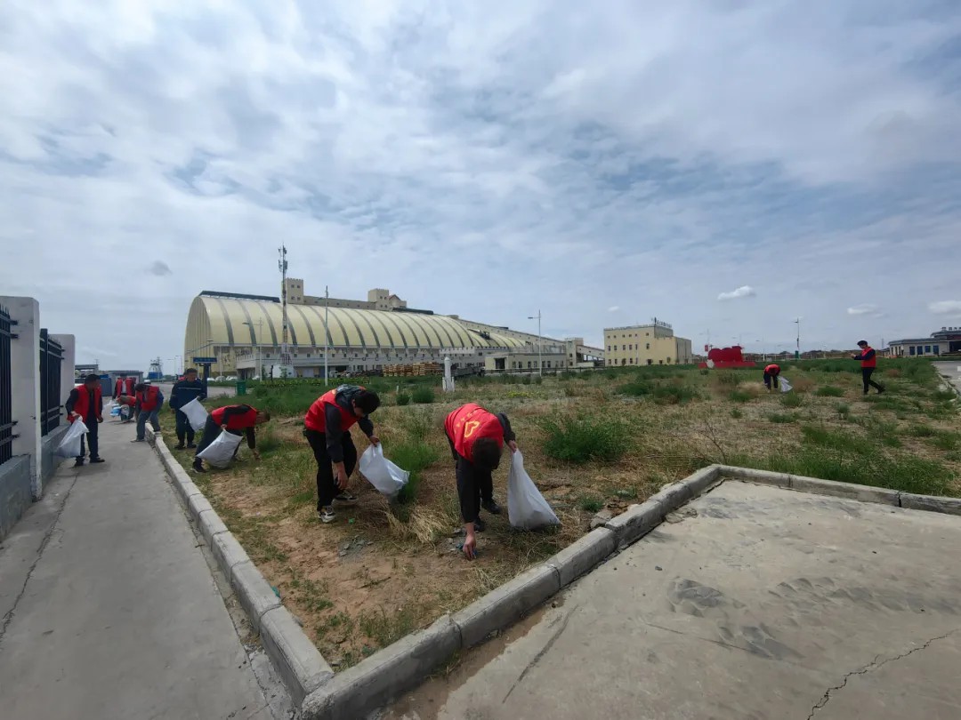 1714976626236579.jpeg 1714976626236579.jpeg