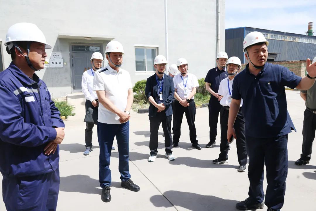 1715231836993452.jpeg 1.jpg