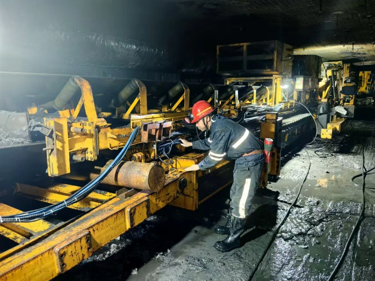 1730507172476769.jpeg 1.jpg