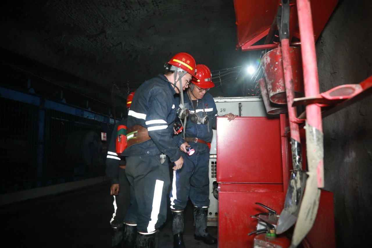 1733482358417212.jpeg 3.jpg