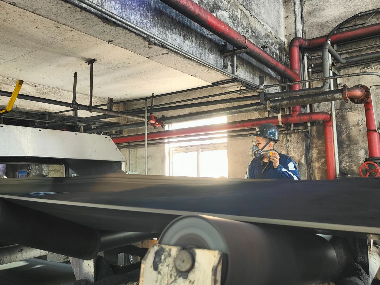 1737504775419687.jpeg 2.jpg