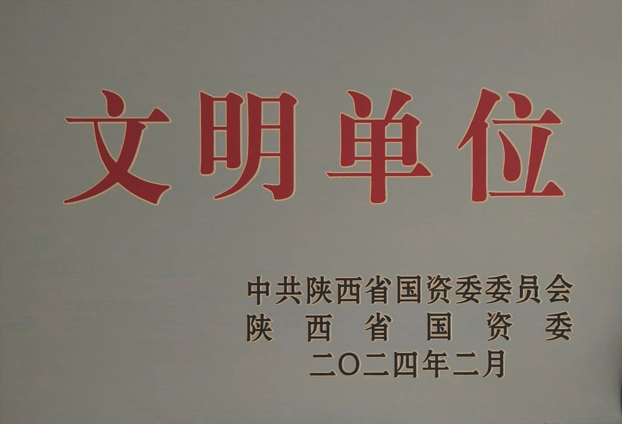 1740010064176253.jpeg 2.jpg