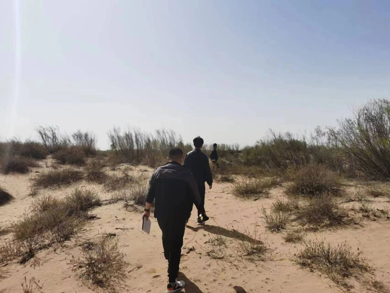 1743124122605442.jpeg 1.jpg