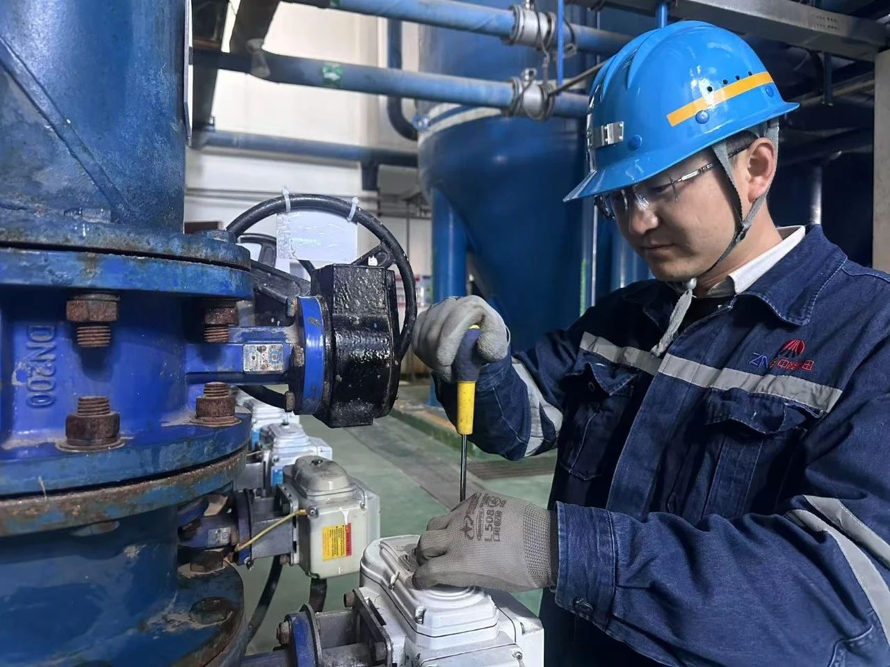 1745646632762231.jpeg 2.jpg