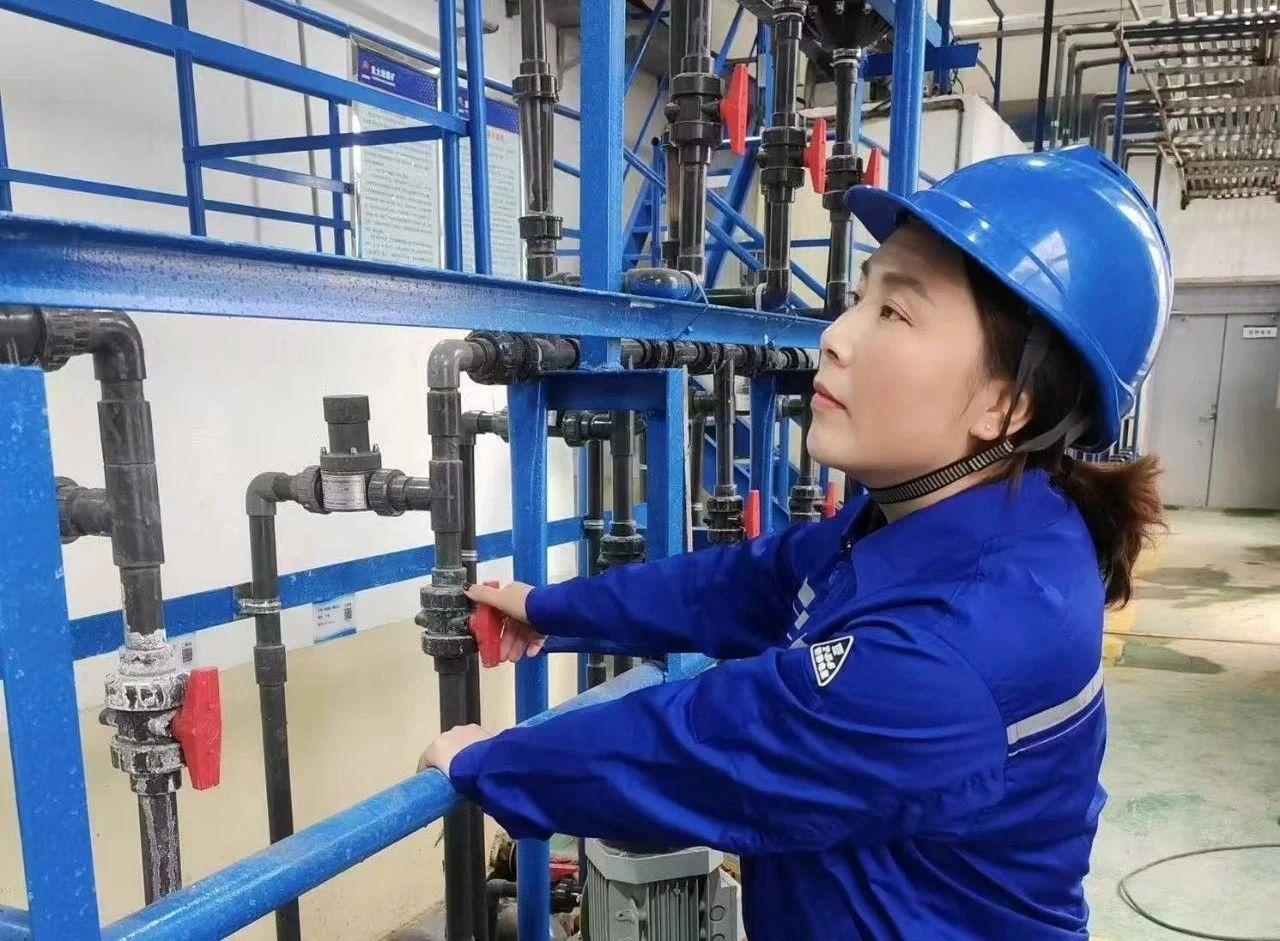 008PG����(�й���)-�ٷ���վ