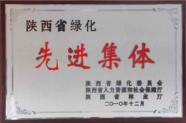 008PG����(�й���)-�ٷ���վ